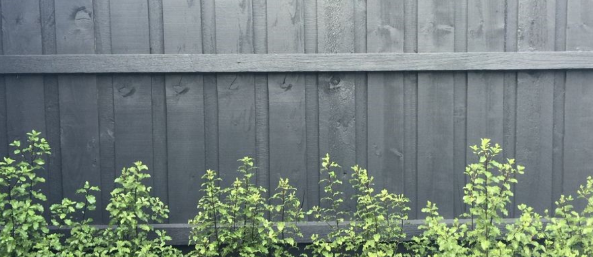 Paint fence.png Paint fence.png