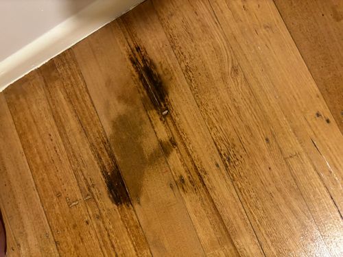 IMG_4953.jpeg IMG_4953.jpeg