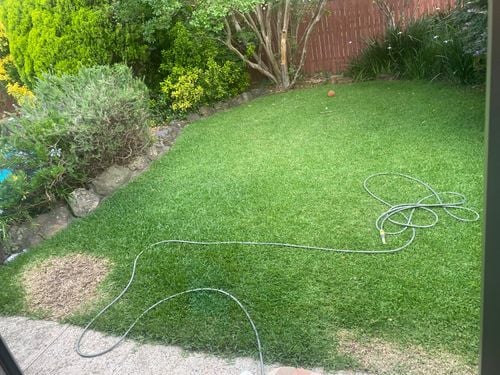 F2598CDA-02ED-4E69-B7D8-A33D43B0FD11.jpeg F2598CDA-02ED-4E69-B7D8-A33D43B0FD11.jpeg