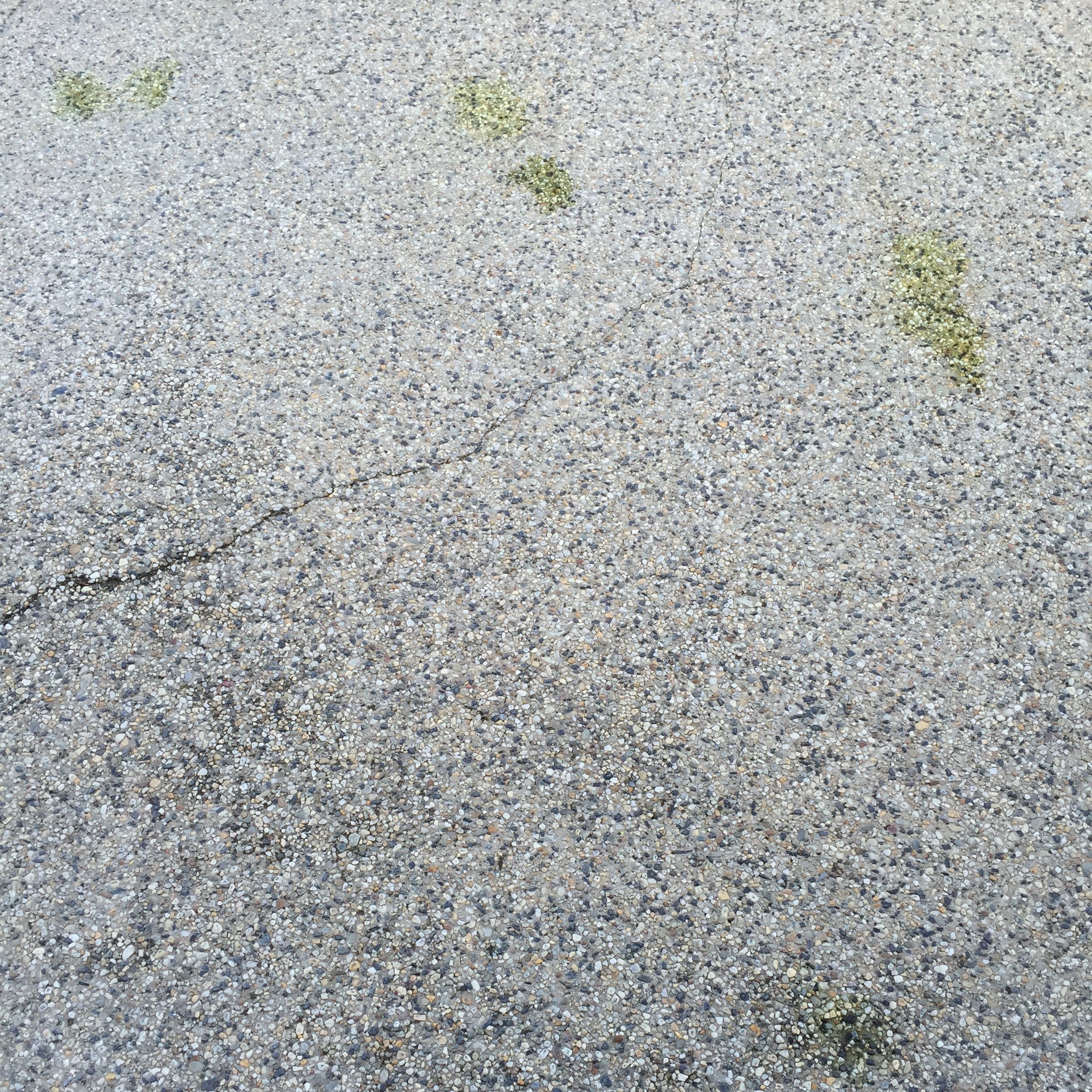 FullSizeRender 4.jpg FullSizeRender 4.jpg