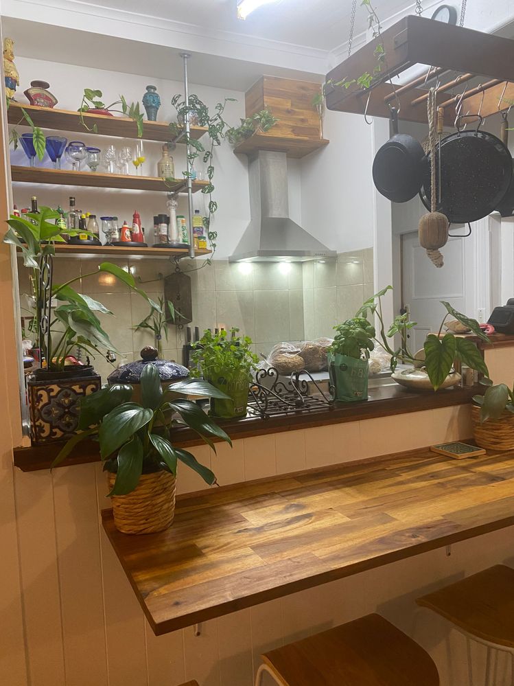 566E064D-9D0F-47C8-ABF2-88D9B9CE48B0.jpeg 566E064D-9D0F-47C8-ABF2-88D9B9CE48B0.jpeg