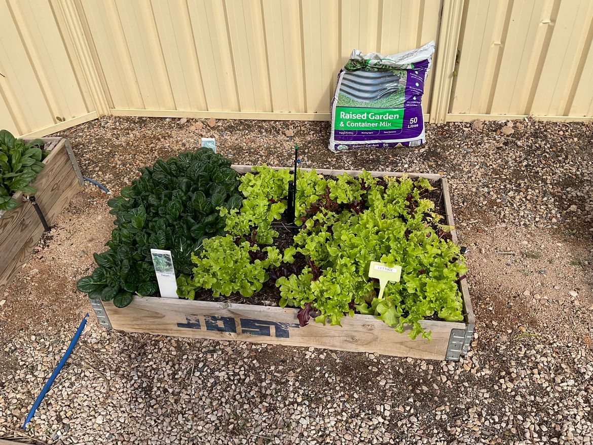 IMG_0780.jpeg IMG_0780.jpeg