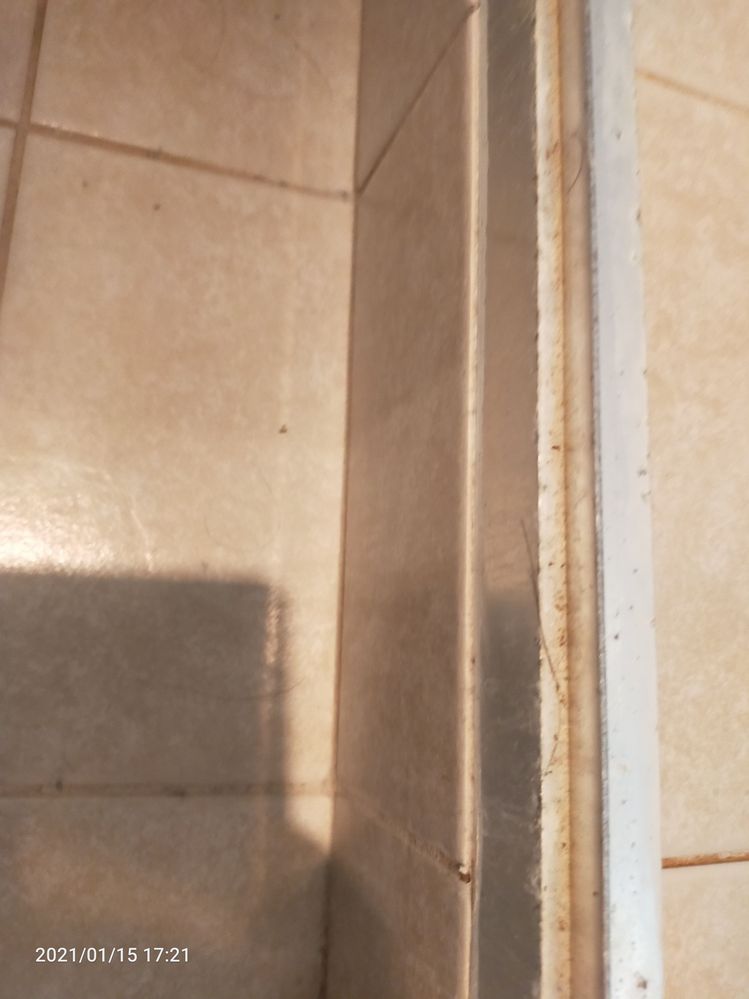 IMG20210115172119.jpg IMG20210115172119.jpg