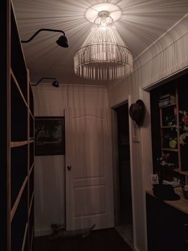 310 29-05-2025.jpg 310 29-05-2025.jpg