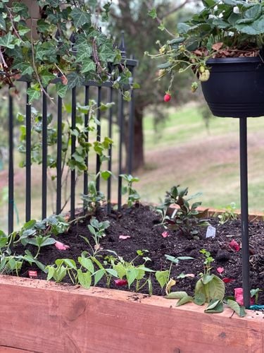 C2021BDD-1869-4030-91EC-3D6C156C4DC2.jpeg C2021BDD-1869-4030-91EC-3D6C156C4DC2.jpeg