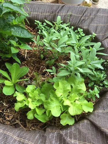 F0B3DB64-998C-4BAB-A8ED-1313A2B65B90.jpeg F0B3DB64-998C-4BAB-A8ED-1313A2B65B90.jpeg