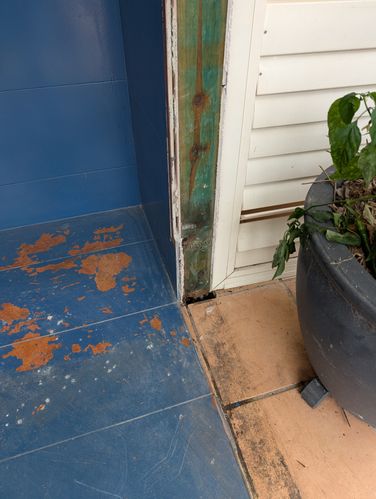 1000003501.jpg 1000003501.jpg