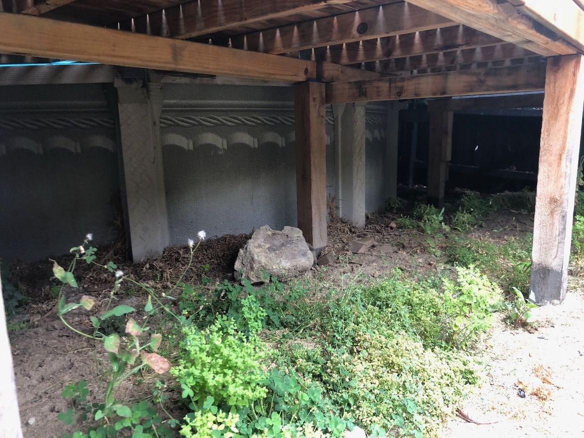 IMG_6087.jpeg IMG_6087.jpeg