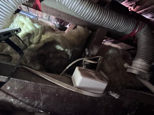 IMG_8007.jpeg IMG_8007.jpeg