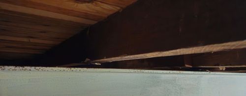 20250112_204643.jpg 20250112_204643.jpg