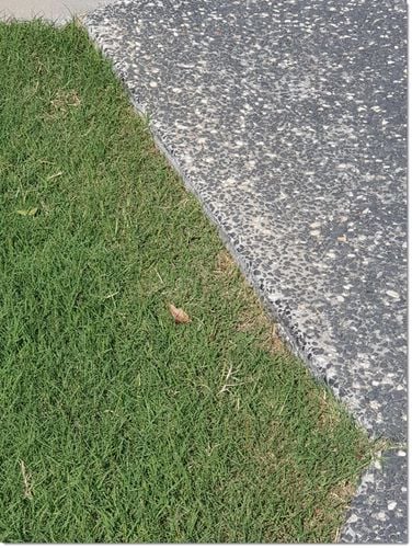 20210824_122235.jpg 20210824_122235.jpg