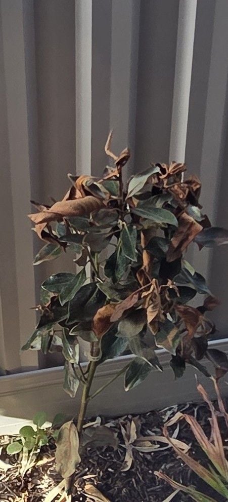 20251228_171517.jpg 20251228_171517.jpg