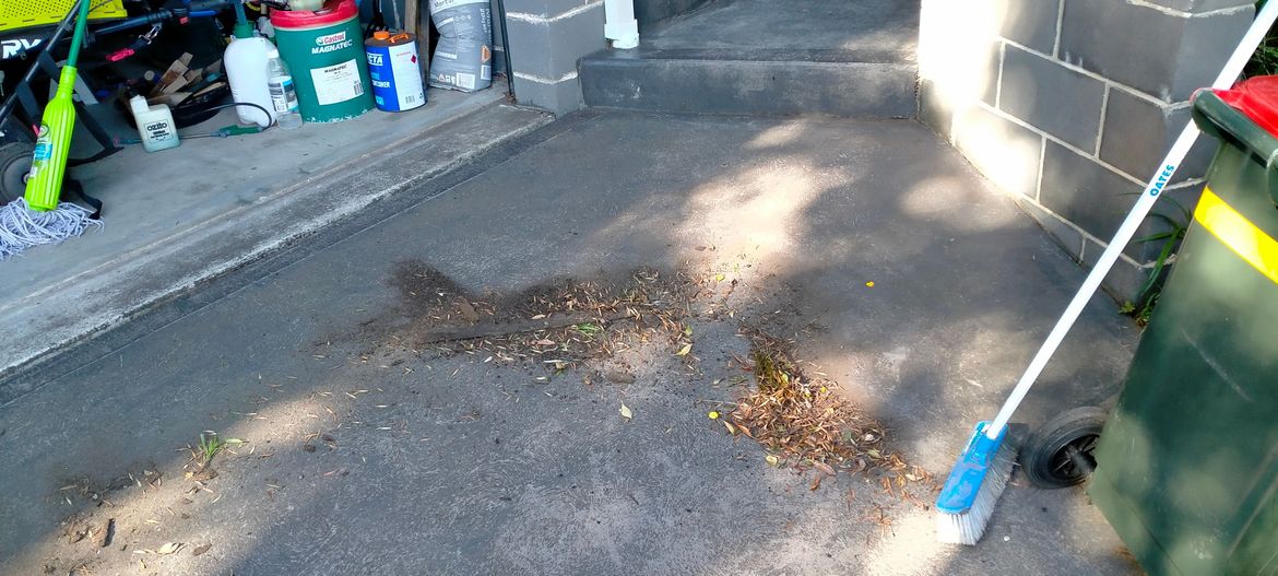 IMG20230616120810.jpg IMG20230616120810.jpg