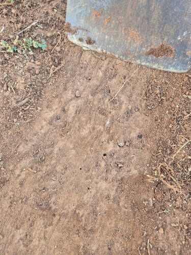 20251217_190801.jpg 20251217_190801.jpg