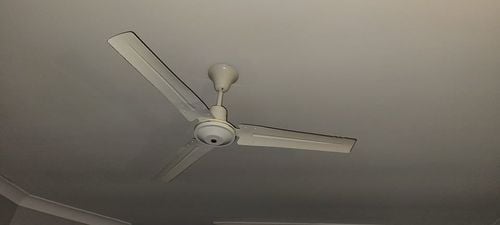 237071974_254369156348698_4225746810595466661_n.jpg 237071974_254369156348698_4225746810595466661_n.jpg