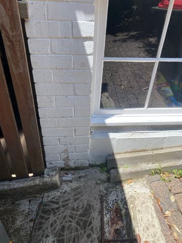 IMG_5104.jpeg IMG_5104.jpeg