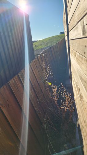 20250422_154249.jpg 20250422_154249.jpg