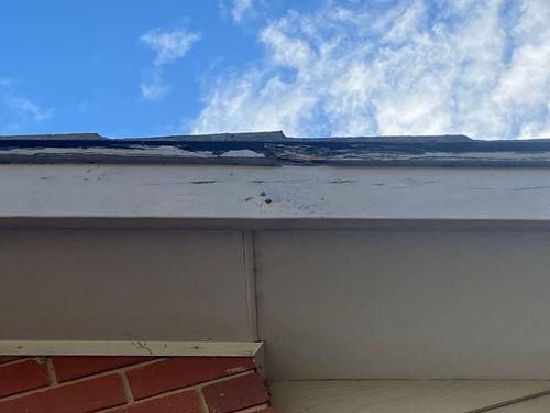 IMG_9397.jpeg IMG_9397.jpeg