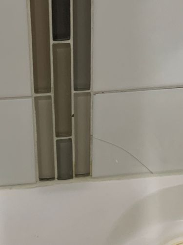 IMG_9485.jpeg IMG_9485.jpeg