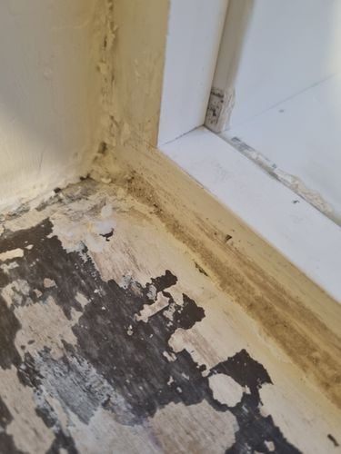 1000016202.jpg 1000016202.jpg