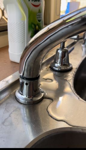 IMG_7846.jpeg IMG_7846.jpeg