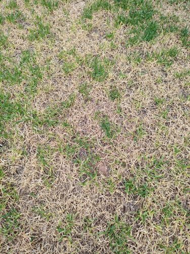 1000057813.jpg 1000057813.jpg