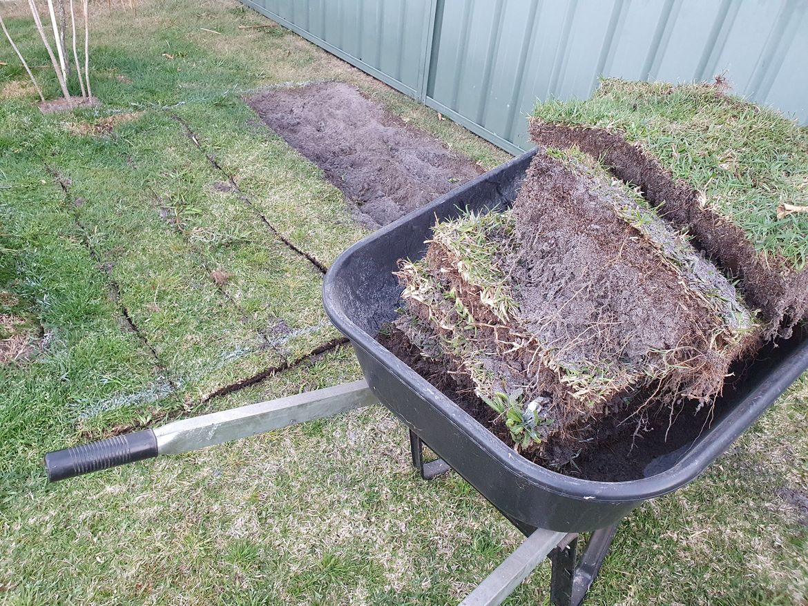 20210903_173003.jpg 20210903_173003.jpg