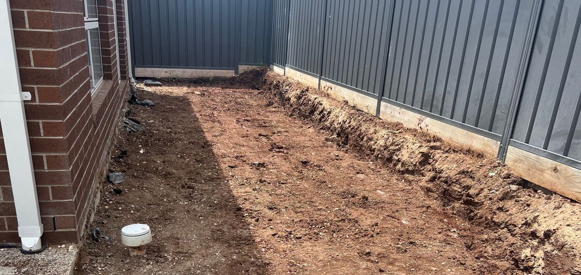 IMG_5980.jpg IMG_5980.jpg