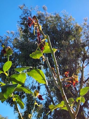 1000039711.jpg 1000039711.jpg