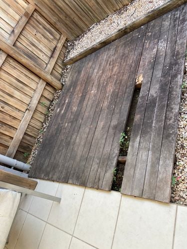 D3881293-C772-440F-8CB0-CE6B2D15443A.jpeg D3881293-C772-440F-8CB0-CE6B2D15443A.jpeg