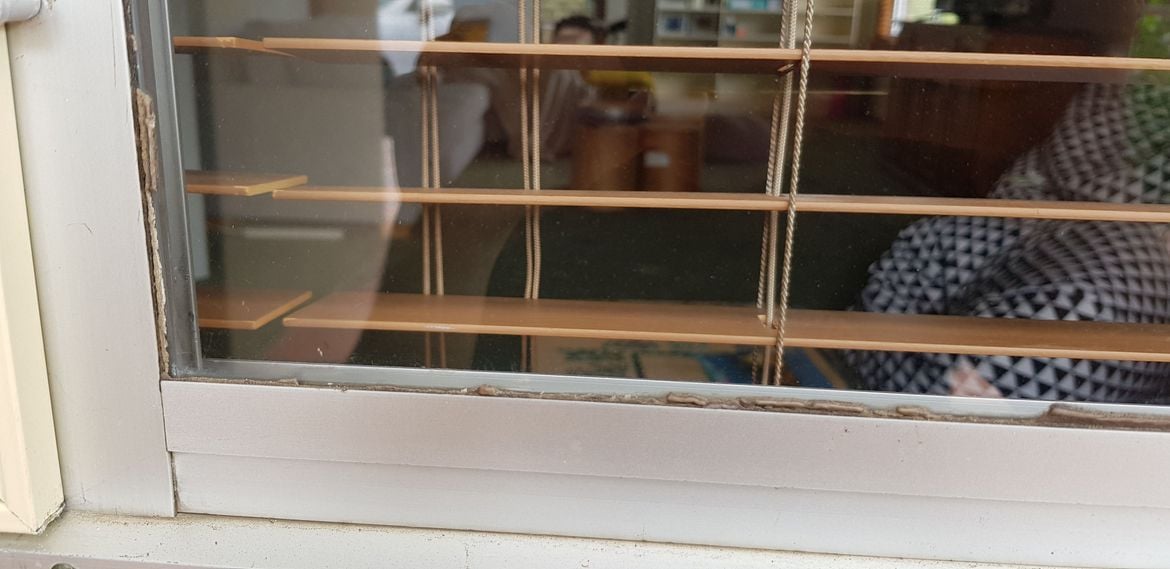 20220305_160753.jpg 20220305_160753.jpg