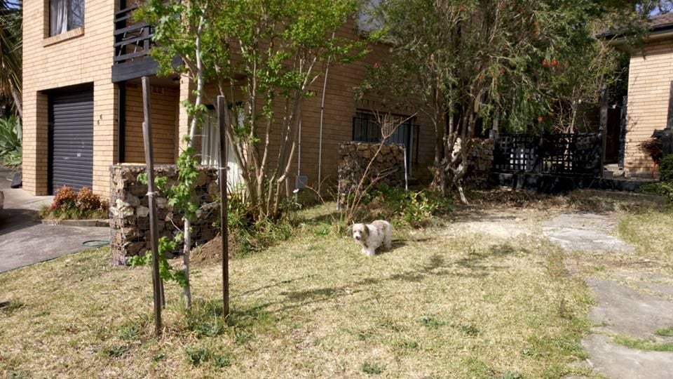 02-10-2017c.jpg 02-10-2017c.jpg