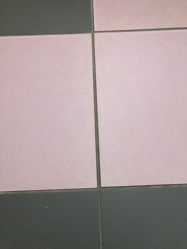 8DBD4CE0-9EFF-41EC-BA80-C449086E8893.jpeg 8DBD4CE0-9EFF-41EC-BA80-C449086E8893.jpeg