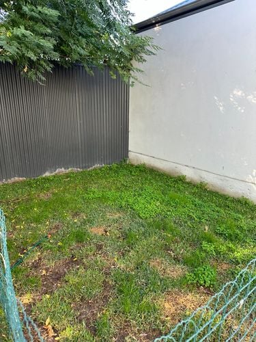 IMG_5043.jpeg IMG_5043.jpeg