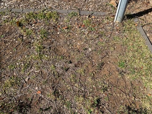 54022375-60DD-4EE6-BFB4-1F4B20D382AF.jpeg 54022375-60DD-4EE6-BFB4-1F4B20D382AF.jpeg