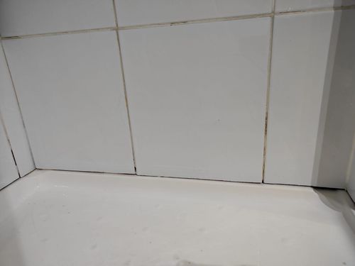 1000090335.jpg 1000090335.jpg