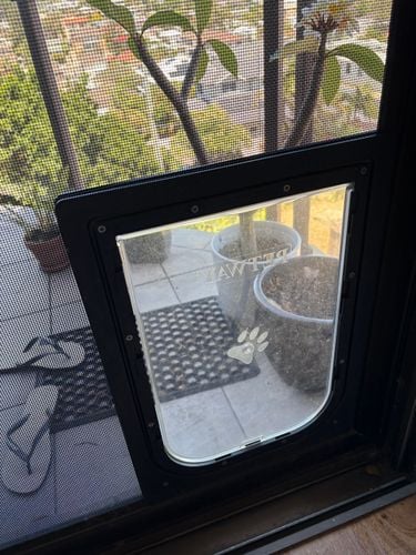 IMG_5219.jpeg IMG_5219.jpeg