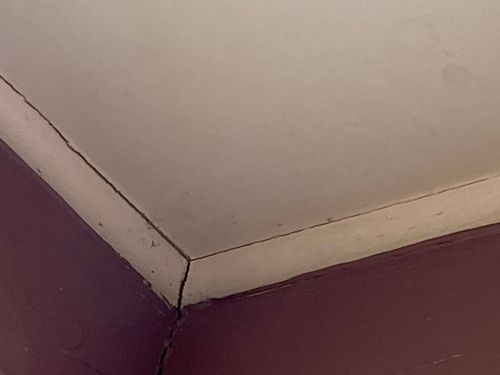 1FD6B58C-4BC0-4B54-9AC0-9FC661D9156D.jpeg 1FD6B58C-4BC0-4B54-9AC0-9FC661D9156D.jpeg