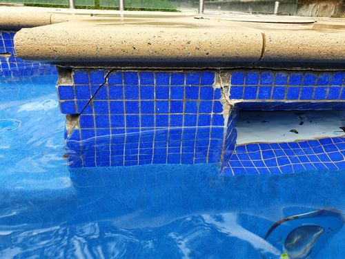 20220101_170451.jpg 20220101_170451.jpg