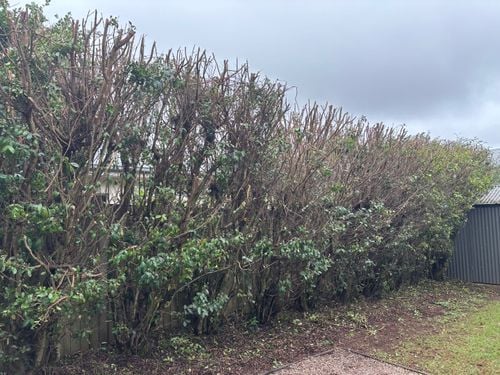 IMG_1826.jpeg IMG_1826.jpeg