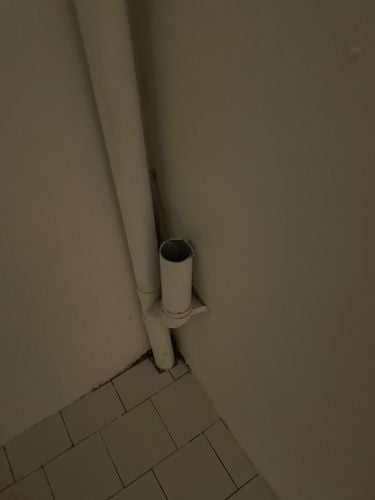 283BA6A5-A3DC-49B4-BFEE-A9B4EB9E27BA.jpeg 283BA6A5-A3DC-49B4-BFEE-A9B4EB9E27BA.jpeg