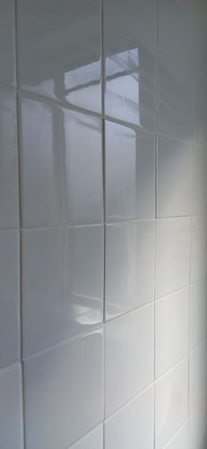 20251217_171124.jpg 20251217_171124.jpg