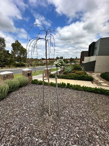 1000038524.jpg 1000038524.jpg