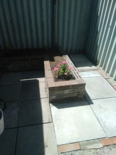 IMG_20221007_131539.jpg IMG_20221007_131539.jpg