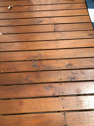 BF1260FB-ADB0-49A6-868C-18987F455765.jpeg BF1260FB-ADB0-49A6-868C-18987F455765.jpeg