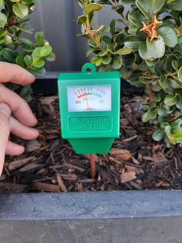 20220102_081321.jpg 20220102_081321.jpg