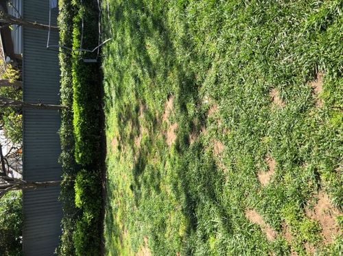 C2970671-E5BD-4E79-95F4-EC030E28457F.jpeg C2970671-E5BD-4E79-95F4-EC030E28457F.jpeg