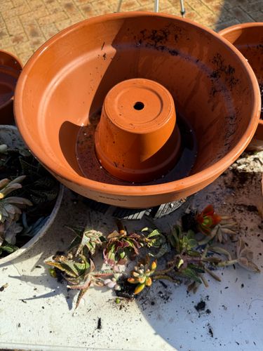 IMG_1230.jpeg IMG_1230.jpeg