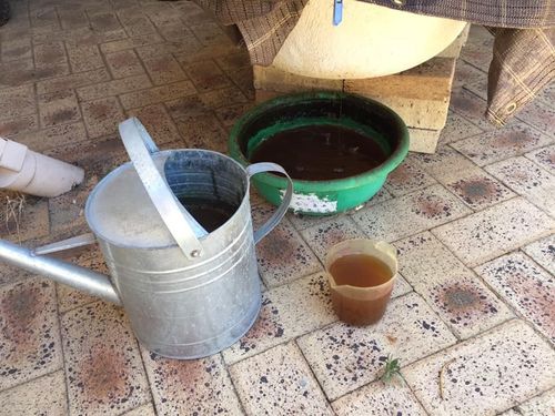 80F676A7-7DDD-4E88-8F14-9DAAEB0AF0A3.jpeg 80F676A7-7DDD-4E88-8F14-9DAAEB0AF0A3.jpeg