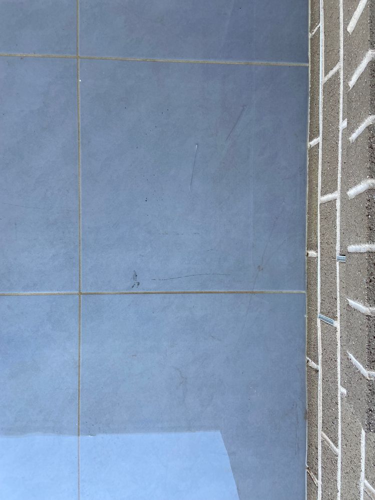 IMG_8245.JPG IMG_8245.JPG